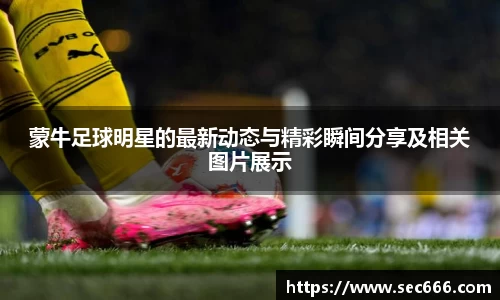 蒙牛足球明星的最新动态与精彩瞬间分享及相关图片展示