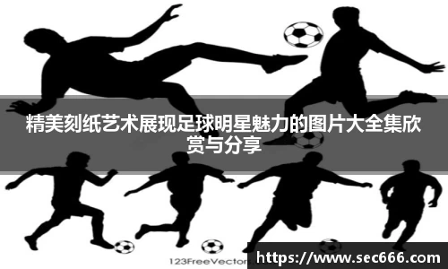 365WM完美体育官网