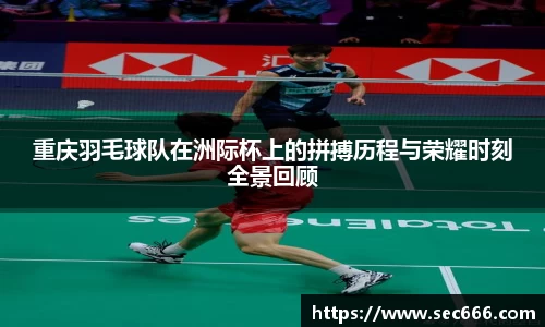 365WM完美体育官方app