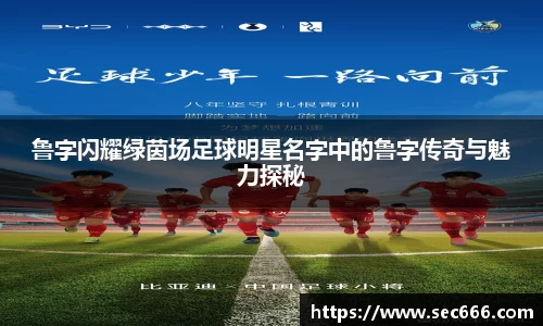 365WM完美体育官方app